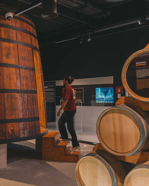 museu do vinho wow porto