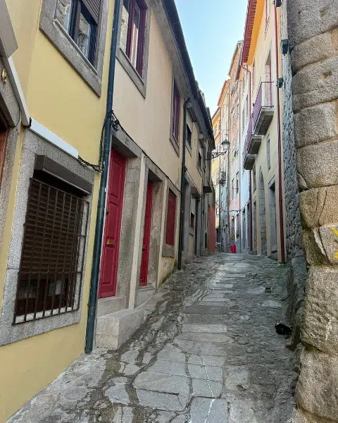 typical street in porto